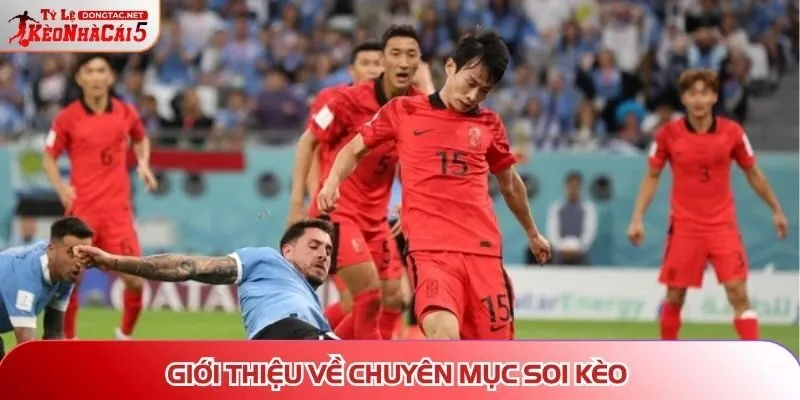 Giới thiệu về chuyên mục soi kèo