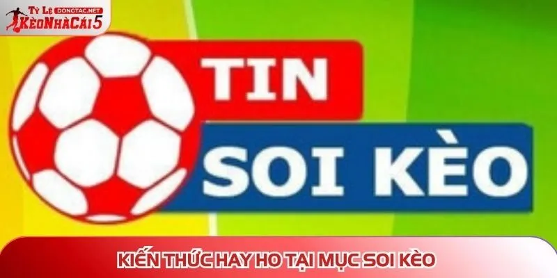 Kiến thức hay ho tại mục soi kèo