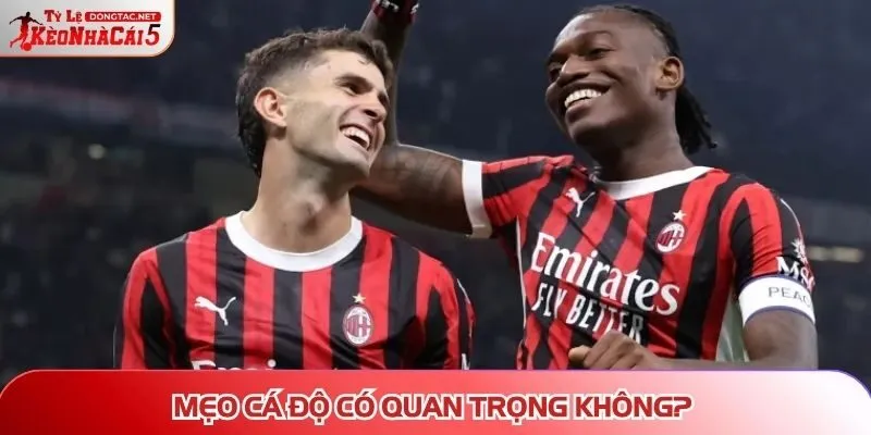 Mẹo cá độ có quan trọng không?