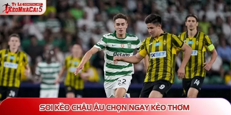 Soi kèo trận Milan Vs Fiorentina chọn kèo thơm Châu Âu