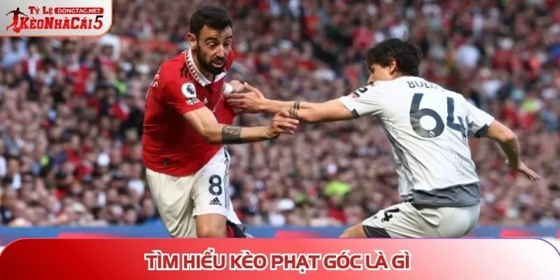 Tìm hiểu kèo phạt góc là gì