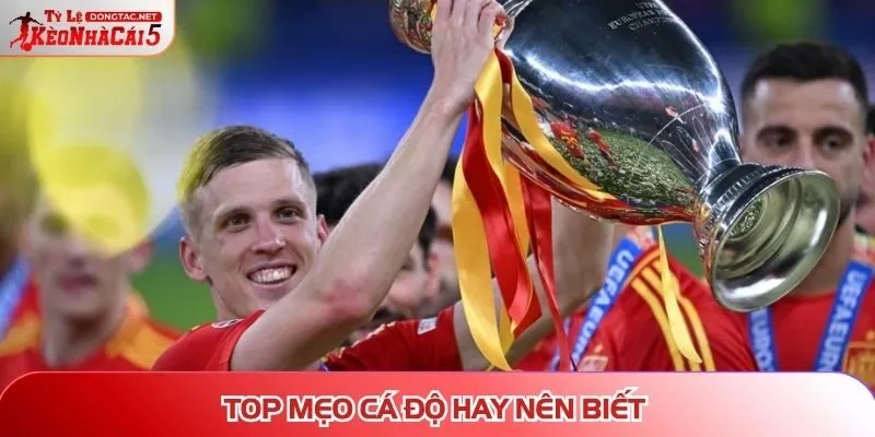 Top mẹo cá độ hay nên biết